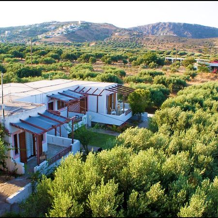 Voula'S Casa Di Mare Apartment Палекастрон Екстериор снимка