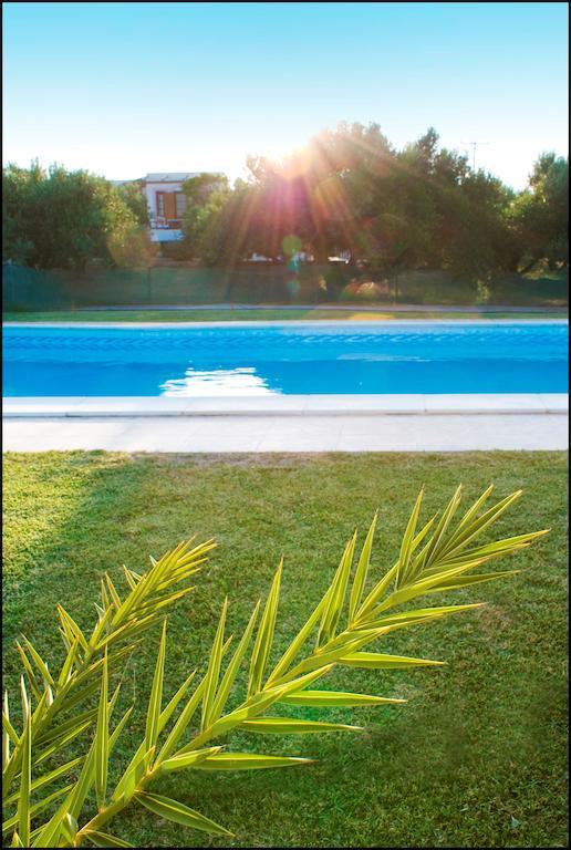 Voula'S Casa Di Mare Apartment Палекастрон Екстериор снимка