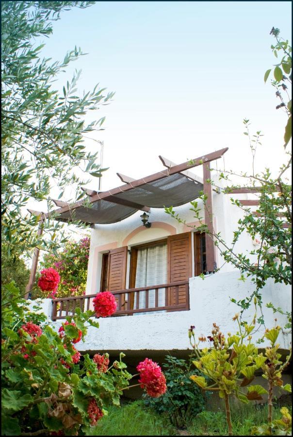 Voula'S Casa Di Mare Apartment Палекастрон Стая снимка